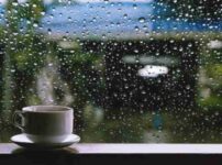 雨の日